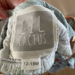 lil cactus thanksgiving dress, fall dress.